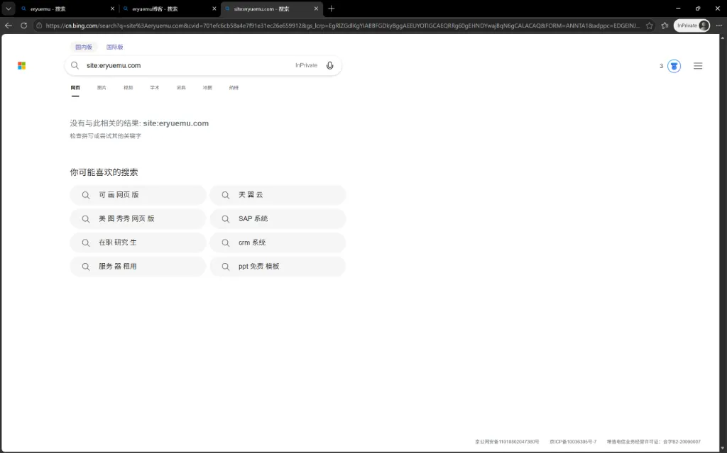 Bing 国内版输入 site 指令查询结果