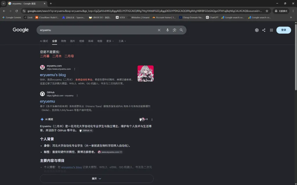 Google 搜索结果 SERP 卡片与 Google AI 概览